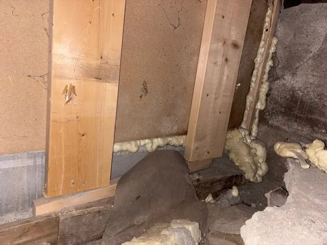 Synlig treverk, mur og skum nederst i en åpnet vegg